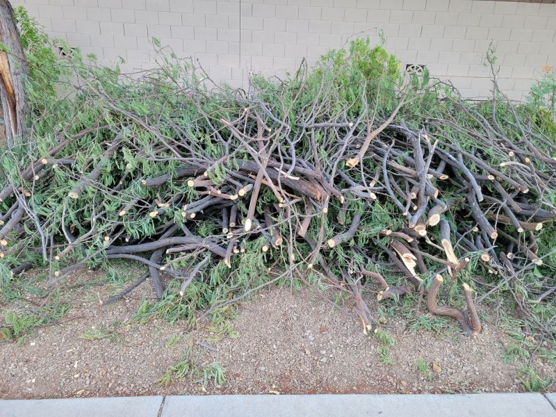 Dormant Season Pruning